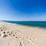Le Onde