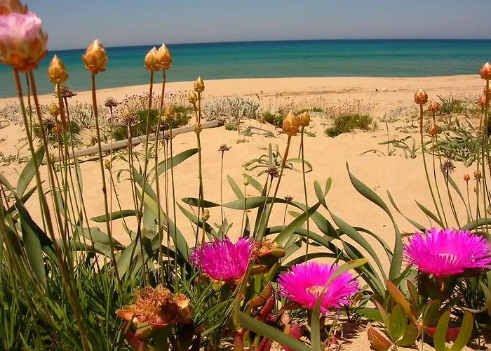 Le Onde Appart hôtel 3*